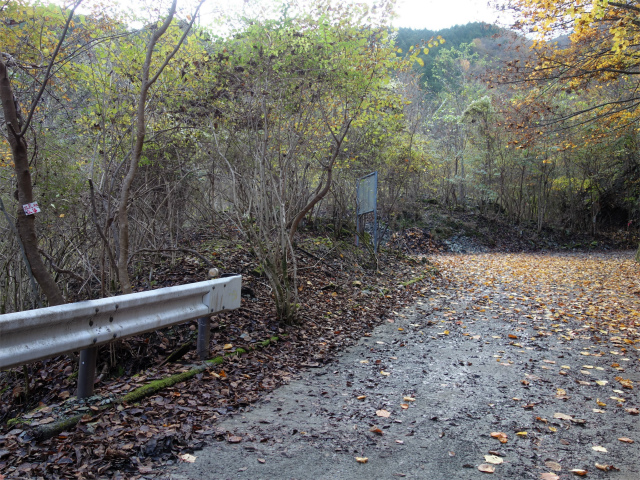 蛭ヶ岳（地蔵尾根～地蔵平）登山口コースガイド 源蔵オネ・仏谷プレート【登山口ナビ】