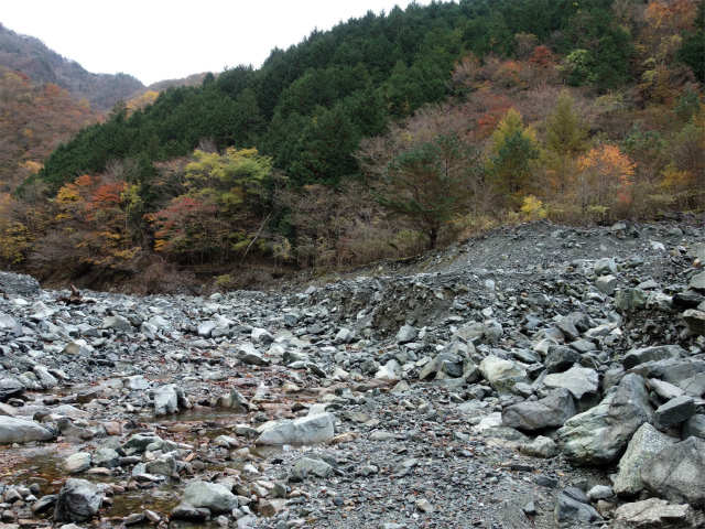 蛭ヶ岳（地蔵尾根～地蔵平）登山口コースガイド 広河原【登山口ナビ】