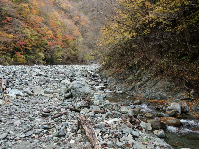 蛭ヶ岳（地蔵尾根～地蔵平）登山口コースガイド 神ノ川渡渉【登山口ナビ】