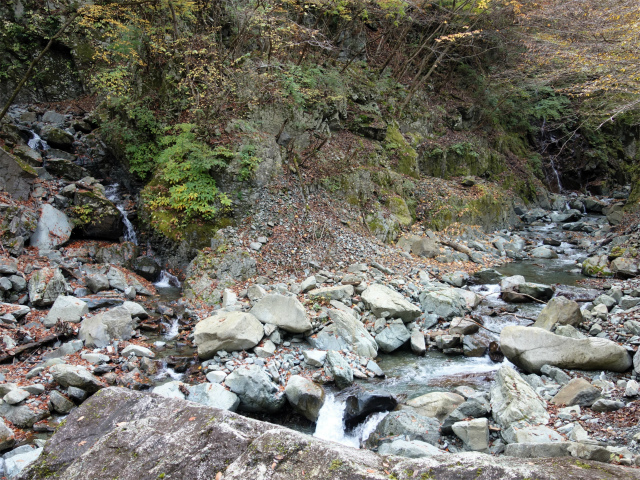 蛭ヶ岳（地蔵尾根～地蔵平）登山口コースガイド 金山谷と岩水沢出合【登山口ナビ】