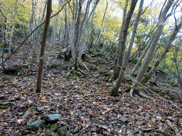 蛭ヶ岳（地蔵尾根～地蔵平）登山口コースガイド 残置ロープの急斜面【登山口ナビ】