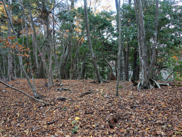 蛭ヶ岳（地蔵尾根～地蔵平）登山口コースガイド 尾根【登山口ナビ】