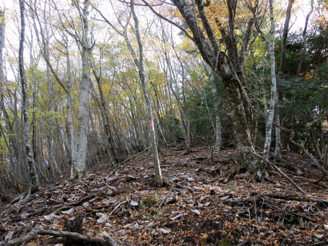 蛭ヶ岳（地蔵尾根～地蔵平）登山口コースガイド【登山口ナビ】