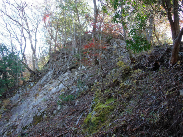 蛭ヶ岳（地蔵尾根～地蔵平）登山口コースガイド 岩峰【登山口ナビ】