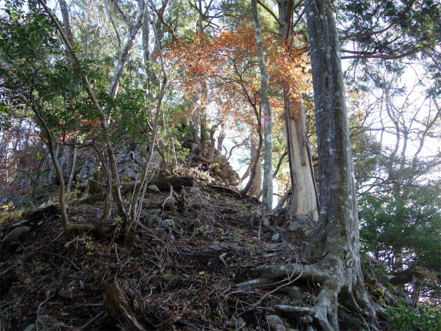 蛭ヶ岳（地蔵尾根～地蔵平）登山口コースガイド 岩峰の急登【登山口ナビ】