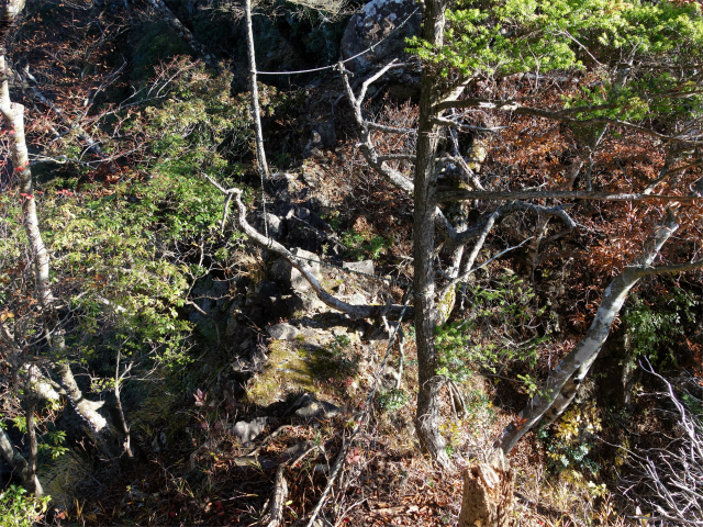 蛭ヶ岳（地蔵尾根～地蔵平）登山口コースガイド 痩せ尾根【登山口ナビ】