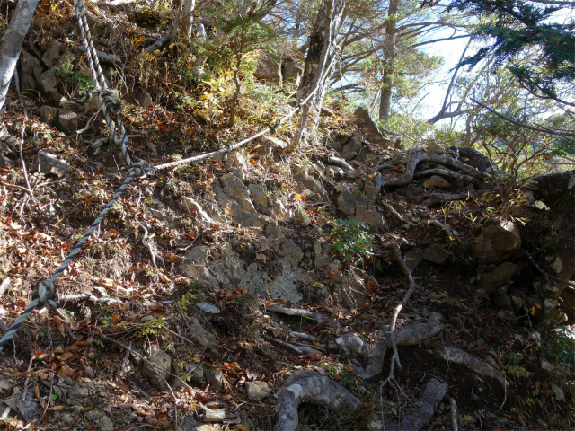 蛭ヶ岳（地蔵尾根～地蔵平）登山口コースガイド 急登【登山口ナビ】