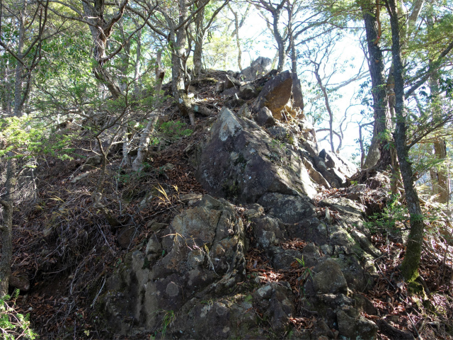 蛭ヶ岳（地蔵尾根～地蔵平）登山口コースガイド 露岩【登山口ナビ】