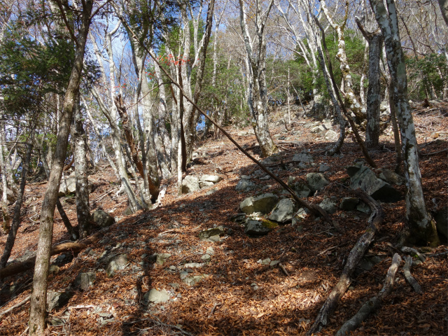 蛭ヶ岳（地蔵尾根～地蔵平）登山口コースガイド 最後の急登【登山口ナビ】