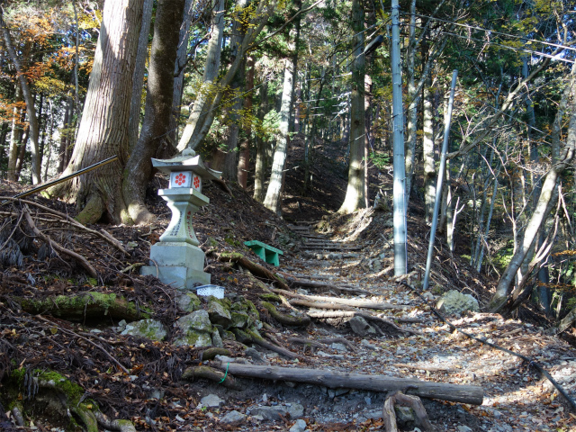 七面山（表参道）登山口コースガイド 落葉樹林の混在する尾根【登山口ナビ】