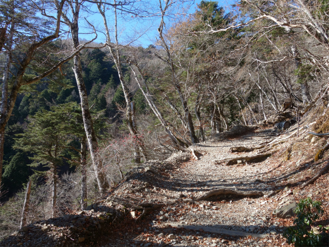 七面山（表参道）登山口コースガイド 山頂の稜線【登山口ナビ】