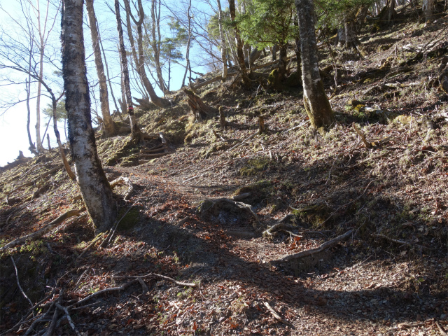 七面山（表参道）登山口コースガイド　大崩れ脇の急登【登山口ナビ】