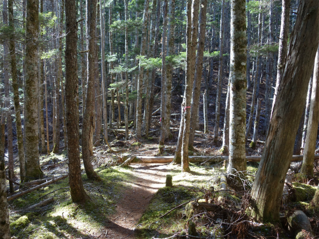 七面山（表参道）登山口コースガイド【登山口ナビ】