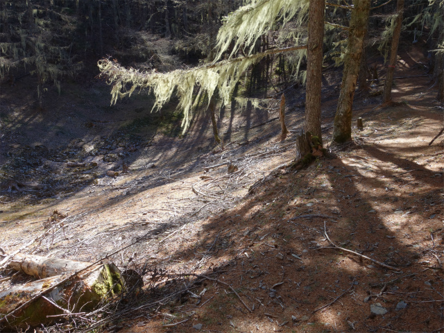 七面山（表参道）登山口コースガイド 三ノ池の窪地【登山口ナビ】