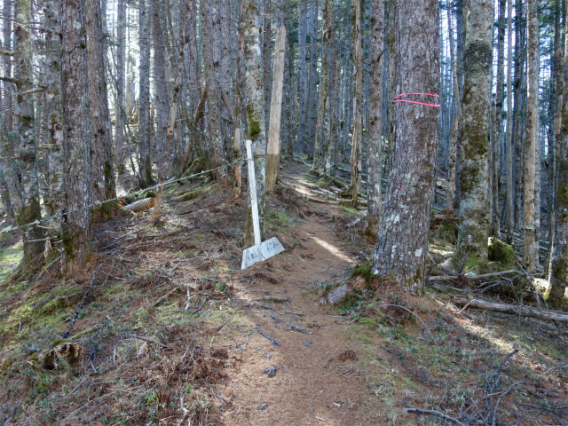 七面山（表参道）登山口コースガイド【登山口ナビ】