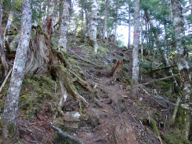 七面山（表参道）登山口コースガイド 登り返し【登山口ナビ】