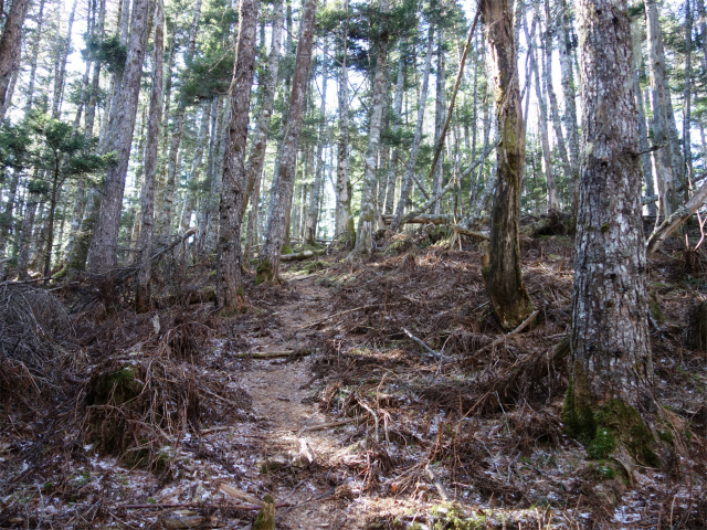 七面山（表参道）登山口コースガイド 踏み跡【登山口ナビ】