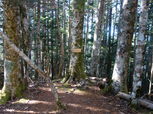 七面山（表参道）登山口コースガイド 最高点ピーク【登山口ナビ】