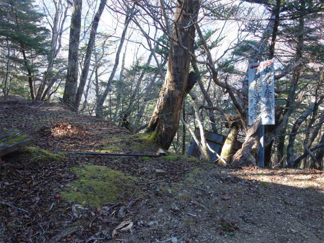 七面山（北参道～希望峰）登山口コースガイド 雨畑参道分岐【登山口ナビ】