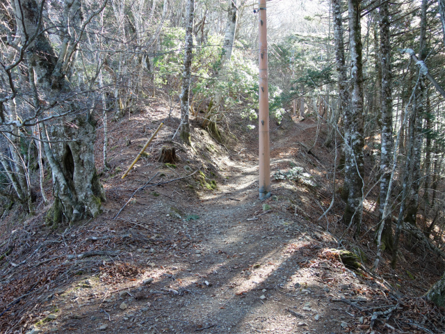 七面山（北参道～希望峰）登山口コースガイド【登山口ナビ】