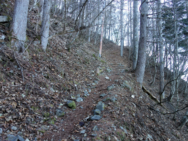 七面山（北参道～希望峰）登山口コースガイド 廿七丁目【登山口ナビ】