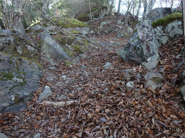 七面山（北参道～希望峰）登山口コースガイド 露岩の尾根【登山口ナビ】