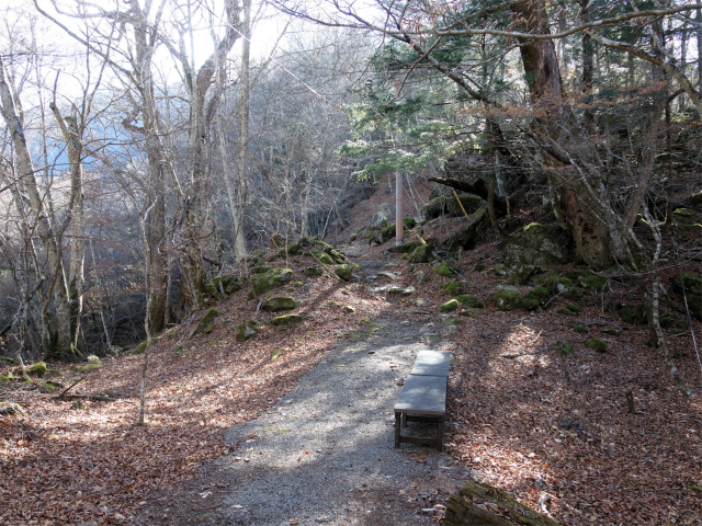 七面山（北参道～希望峰）登山口コースガイド 廿五丁目尾根の肩ベンチ【登山口ナビ】