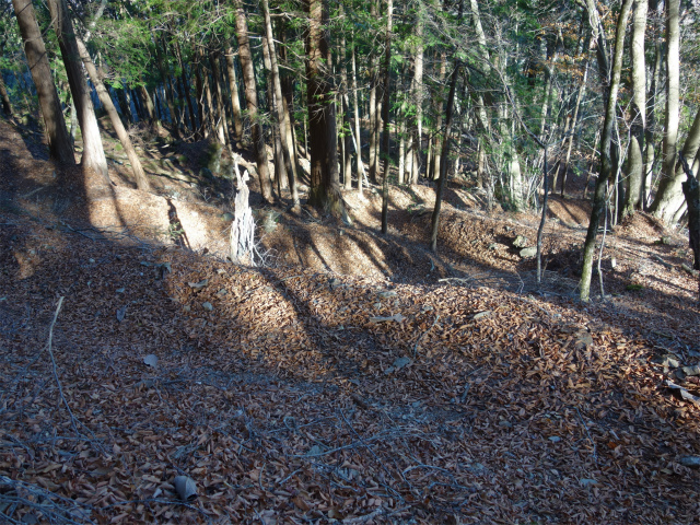 七面山（北参道～希望峰）登山口コースガイド 九十九折れの急登【登山口ナビ】