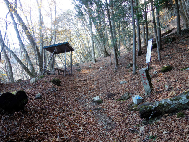 七面山（北参道～希望峰）登山口コースガイド 廿一丁目【登山口ナビ】