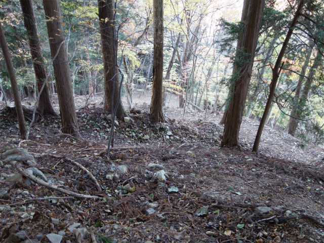 七面山（北参道～希望峰）登山口コースガイド 九十九折れの急登【登山口ナビ】