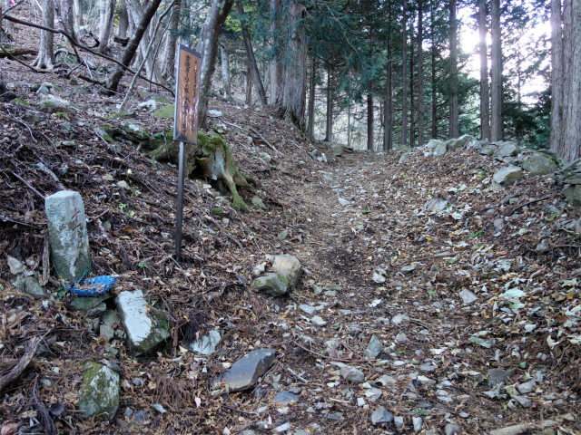 七面山（北参道～希望峰）登山口コースガイド 十一丁目【登山口ナビ】