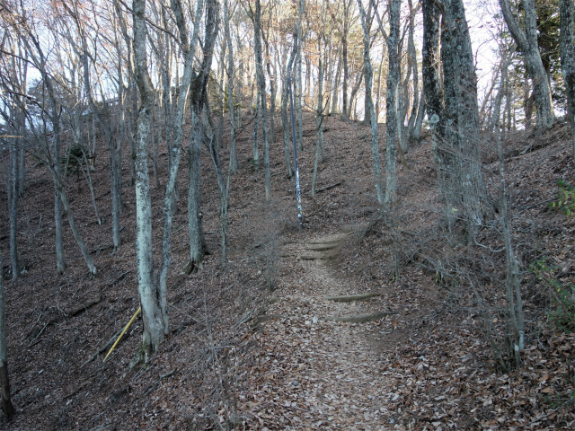 三ツ峠山（天上山・府戸尾根）登山口コースガイド 尾根道【登山口ナビ】