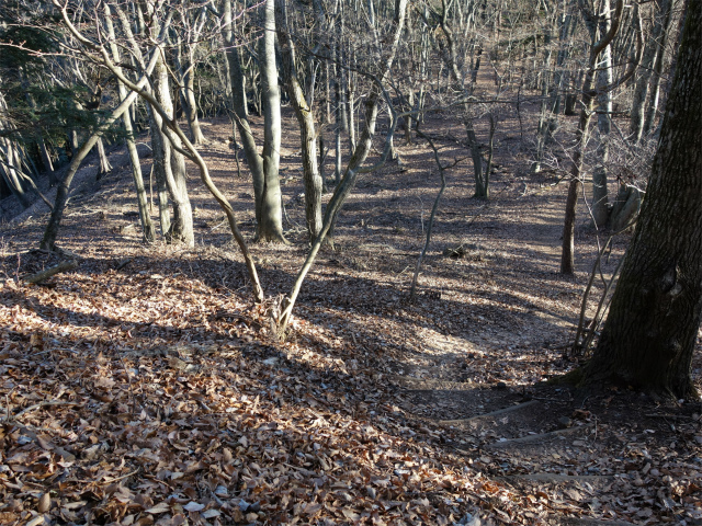 三ツ峠山（天上山・府戸尾根）登山口コースガイド 天上山のなだらかな尾根道【登山口ナビ】