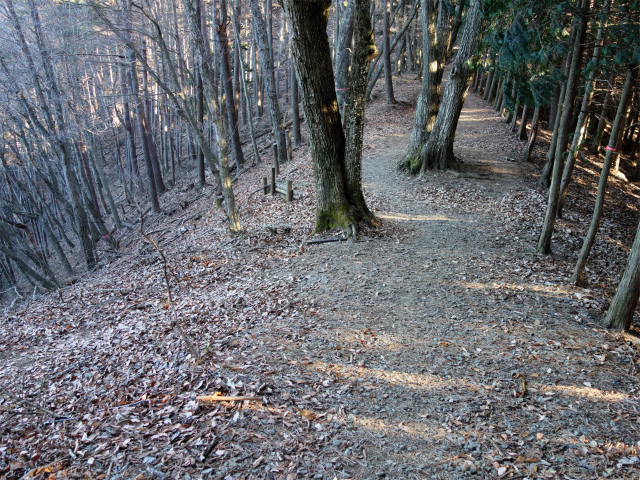 三ツ峠山（天上山・府戸尾根）登山口コースガイド トラバース道合流【登山口ナビ】