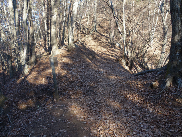 三ツ峠山（天上山・府戸尾根）登山口コースガイド 浅川分岐【登山口ナビ】