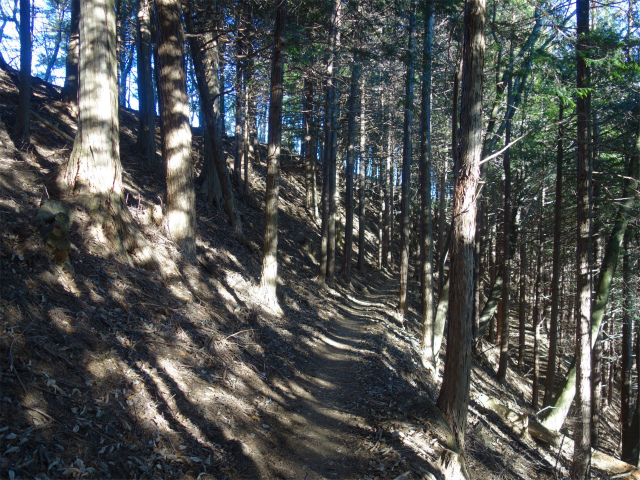 三ツ峠山（天上山・府戸尾根）登山口コースガイド【登山口ナビ】