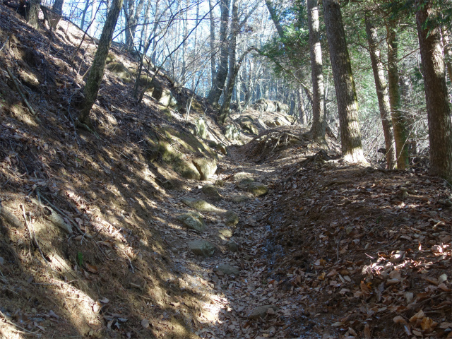 三ツ峠山（天上山・府戸尾根）登山口コースガイド 霜山直下【登山口ナビ】