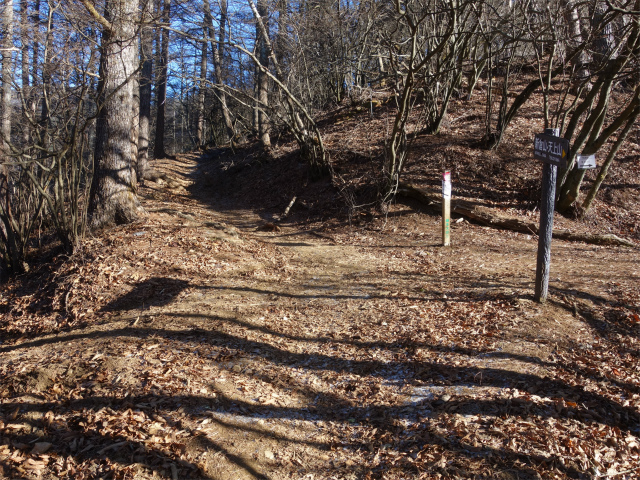 三ツ峠山（天上山・府戸尾根）登山口コースガイド 送電線巡視道【登山口ナビ】