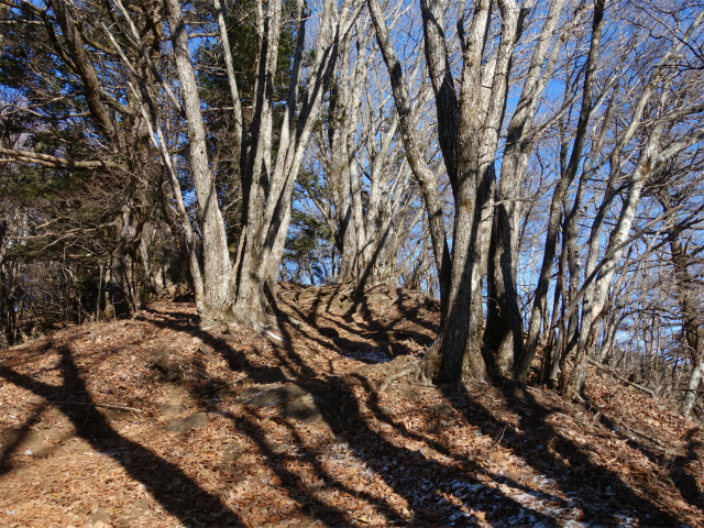 三ツ峠山（天上山・府戸尾根）登山口コースガイド 小ピーク【登山口ナビ】