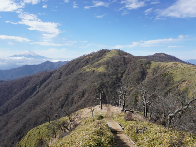 蛭ヶ岳(塩水林道~堂平~丹沢山)登山口コースガイド【登山口ナビ】