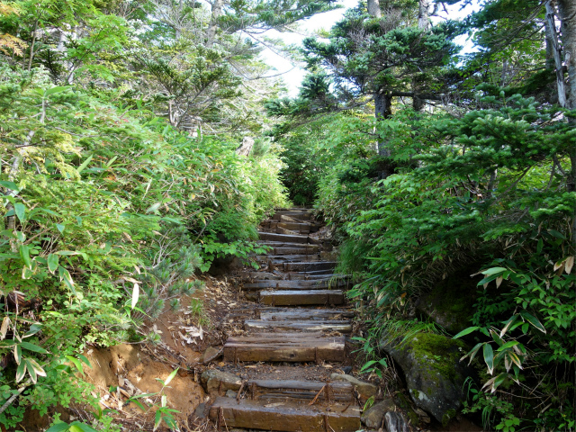 御嶽山・剣ヶ峰（田の原～王滝口登山道）登山口コースガイド 階段【登山口ナビ】