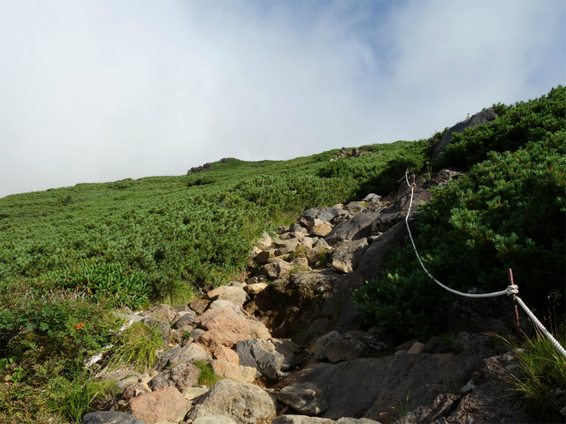 御嶽山・剣ヶ峰（田の原～王滝口登山道）登山口コースガイド ハイマツ帯【登山口ナビ】