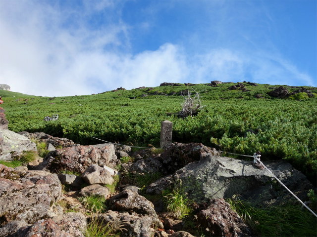 御嶽山・剣ヶ峰（田の原～王滝口登山道）登山口コースガイド 九合目標柱【登山口ナビ】