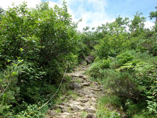 御嶽山・剣ヶ峰（田の原～王滝口登山道）登山口コースガイド 石段【登山口ナビ】