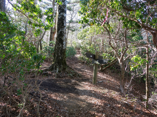 丹沢山(塩水林道~堂平)登山口コースガイド 天王寺尾根堂平分岐【登山口ナビ】