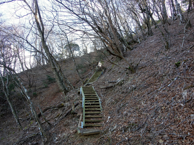 丹沢山(塩水林道~堂平)登山口コースガイド 階段【登山口ナビ】