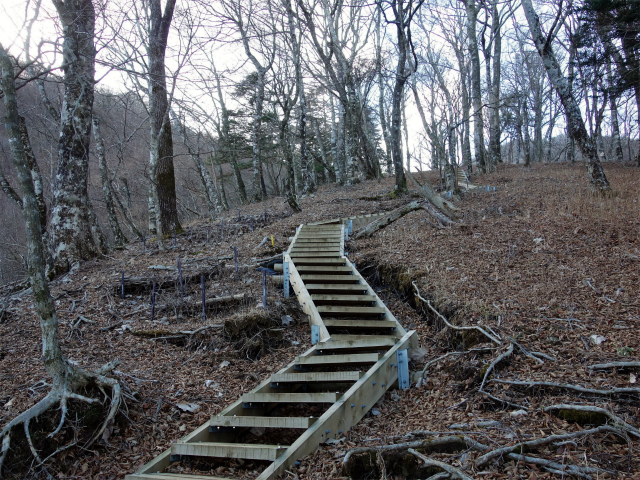 丹沢山(塩水林道~堂平)登山口コースガイド 階段【登山口ナビ】