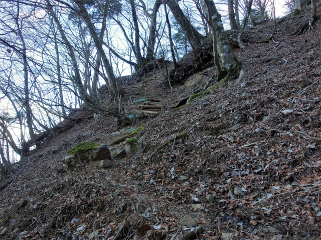 丹沢山(塩水林道~堂平)登山口コースガイド 急斜面【登山口ナビ】