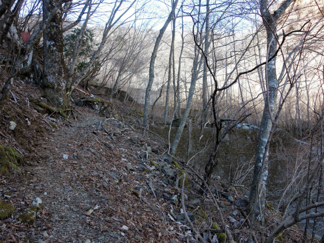 丹沢山(塩水林道~堂平)登山口コースガイド 堰堤【登山口ナビ】