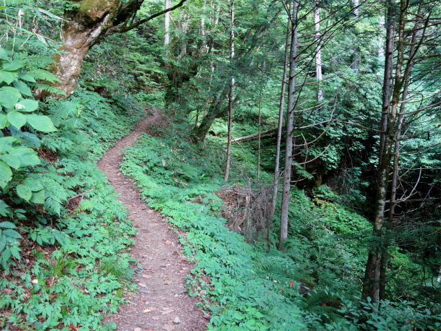 木曽駒ヶ岳(桂小場・西駒ルート)登山口コースガイド 沢筋【登山口ナビ】
